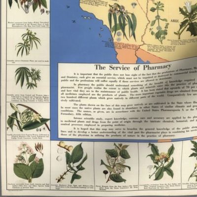 1932 Medicinal Plants of America (27"W)