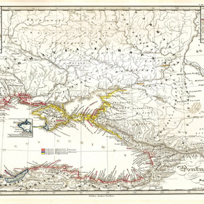 1855 Black Sea Map (54"W)