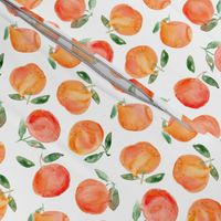 Watercolor oranges