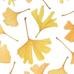 Watercolor Ginkgo Leaves