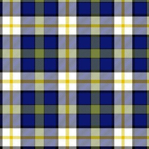 Inverary township of Ontario tartan, 3" dark