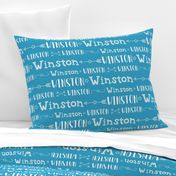 Boys Personalized Name Fabric // Stars and Arrows - Winston