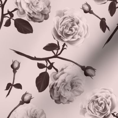 Romantic roses sepia
