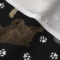 Trotting Pyrenean Shepherds rough face and paw prints - black