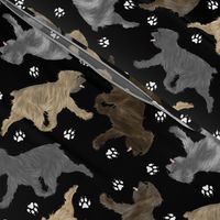 Trotting Pyrenean Shepherds rough face and paw prints - black
