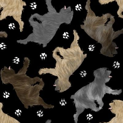 Trotting Pyrenean Shepherds rough face and paw prints - black