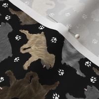 Tiny Trotting Pyrenean Shepherds rough face and paw prints - black