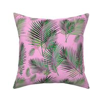 areca palms on pink palm frond 