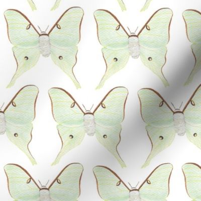 Watercolor Luna Moths