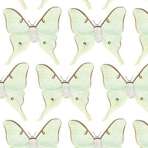 Watercolor Luna Moths