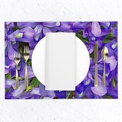 Lativious Iris Purple Flower