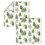 Pine Tree Forest - Woodland Trees LARGE SCALE A