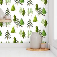 Pine Tree Forest - Woodland Trees LARGE SCALE A