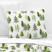 Pine Tree Forest - Woodland Trees LARGE SCALE A