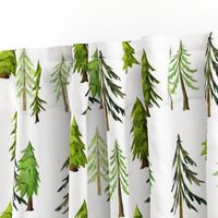 Pine Tree Forest - Woodland Trees LARGE SCALE A