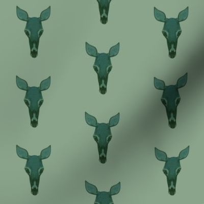 antelope