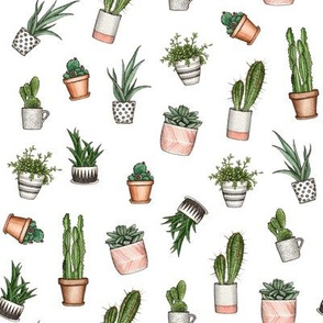 watercolor home plants. succulents and cactus