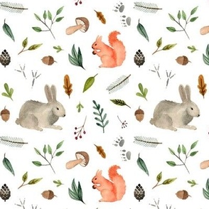 watercolor forest animals team  - squirrel and rabbit