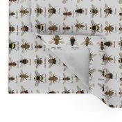 I'm going on a bee hunt // orientated for tea towels