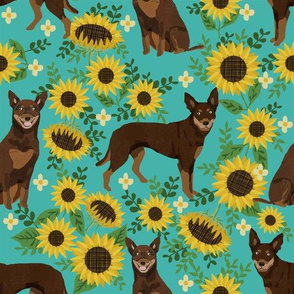 Kelpie red and tan sunflowers large scale 