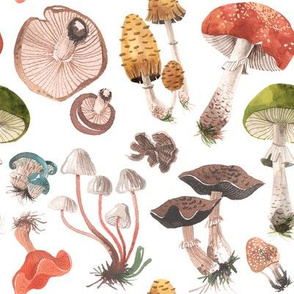 MUSHROOMS