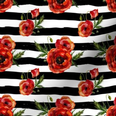 Small // Red Poppies // Black and White Stripes