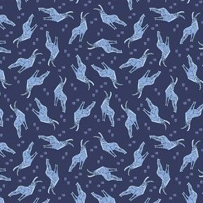 Ibex single blue