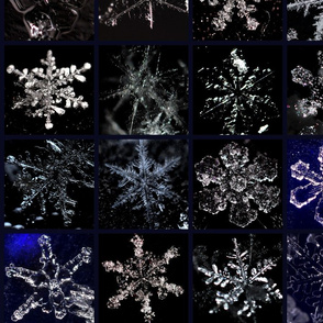 Snowcatcher Real Snowflakes II