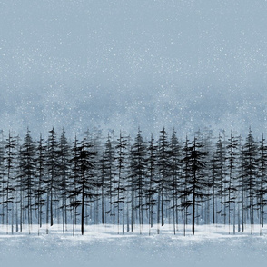 fir trees in a snowy winter night