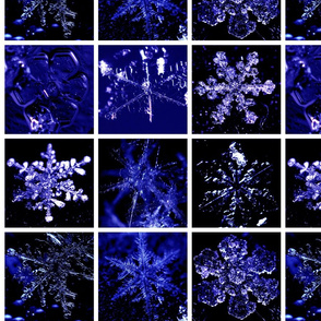 Snowcatcher Real Snowflakes Blue