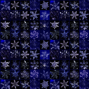 Snowcatcher Real Snowflakes Blue Too