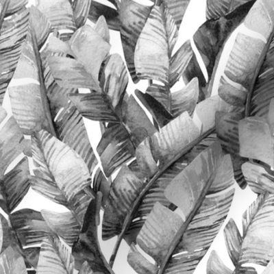 8" Tropical Banana Leaves // Black and White