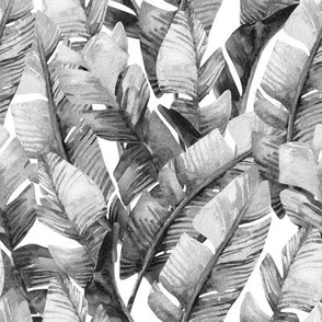 8" Tropical Banana Leaves // Black and White