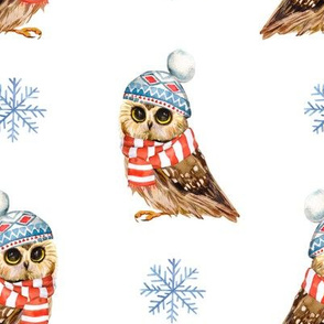 8" Who Loves Winter / Owl