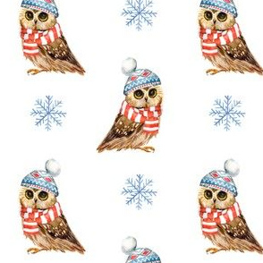 4" Who Loves Winter / Owl