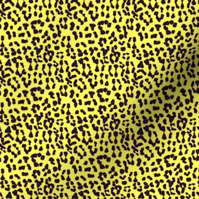 ©2011 Leopard - Spot o' Sunshine