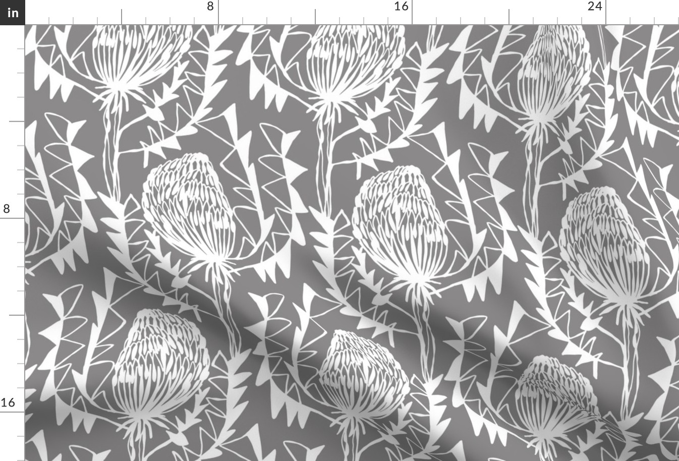 Birds Nest Banksia Grey