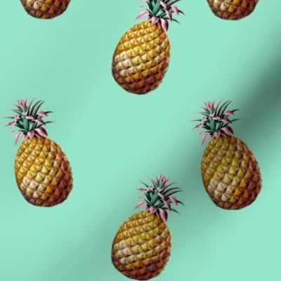 Welcoming Pineapple on Theophania