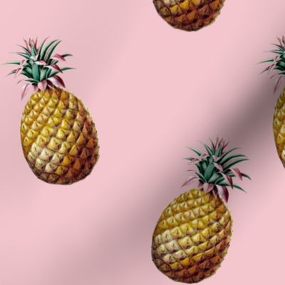 Welcoming Pineapple  on Millenial Pink
