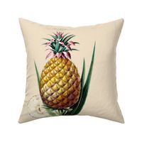 Welcoming Pineapple Pilllow Square ~ Vanille parchment