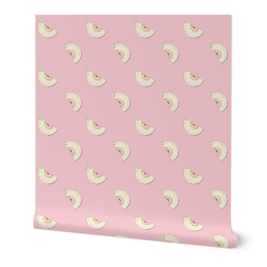 Pineapple Slices on Millennial Pink