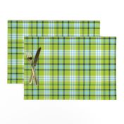 Lime Green and Aqua Blue Plaid