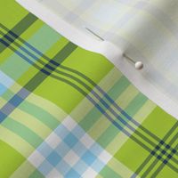 Lime Green and Aqua Blue Plaid