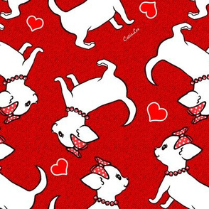 W Chihuahua red Love M