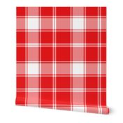 Red and White Plaid