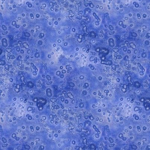 Salt pattern organic white on blue