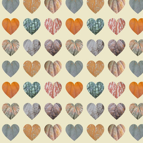9 hearts Pumpkin skins