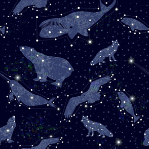 Arctic Sky. Animal Constellations