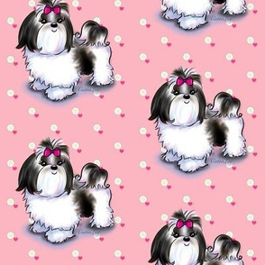 Shih Tzu black pink M