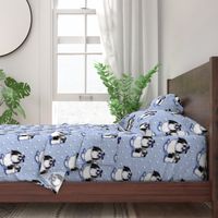 Shih Tzu Black Blue L